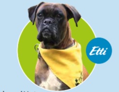 Lukukoira Etti